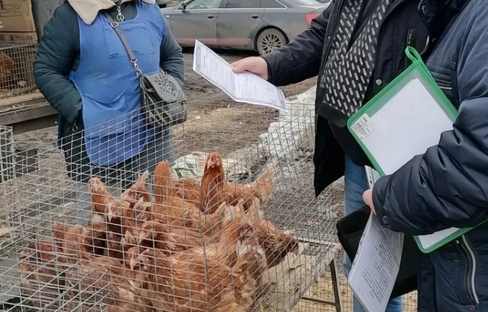 Не приобретайте животных и птиц в местах несанкционированной торговли. Не приобретайте животных и птиц в местах несанкционированной торговли.